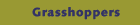 Grasshoppers