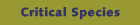 Critical Species