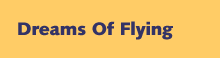 Dreams Of Flying