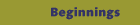 Beginnings