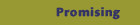 Promising