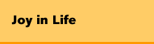 Joy in Life