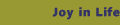 Joy in Life