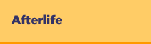 Afterlife