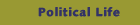 Political Life